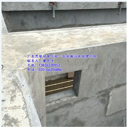 思綠環(huán)保 化州人工濕地廢水處理工程，科技與自然共筑綠水青山